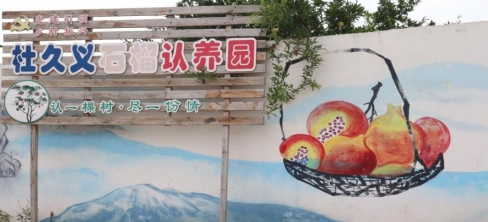 Ժѧ磺ʯ԰ͼ