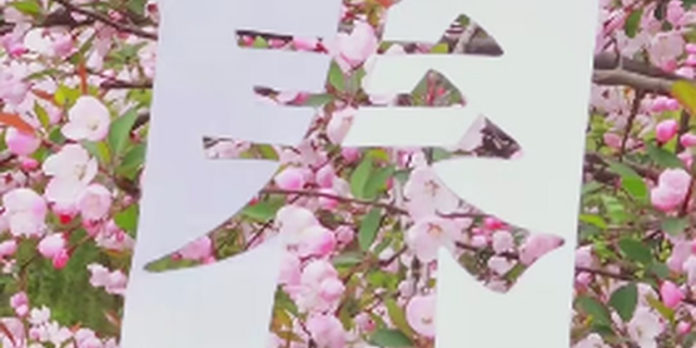 ƻУ԰Ĵ
