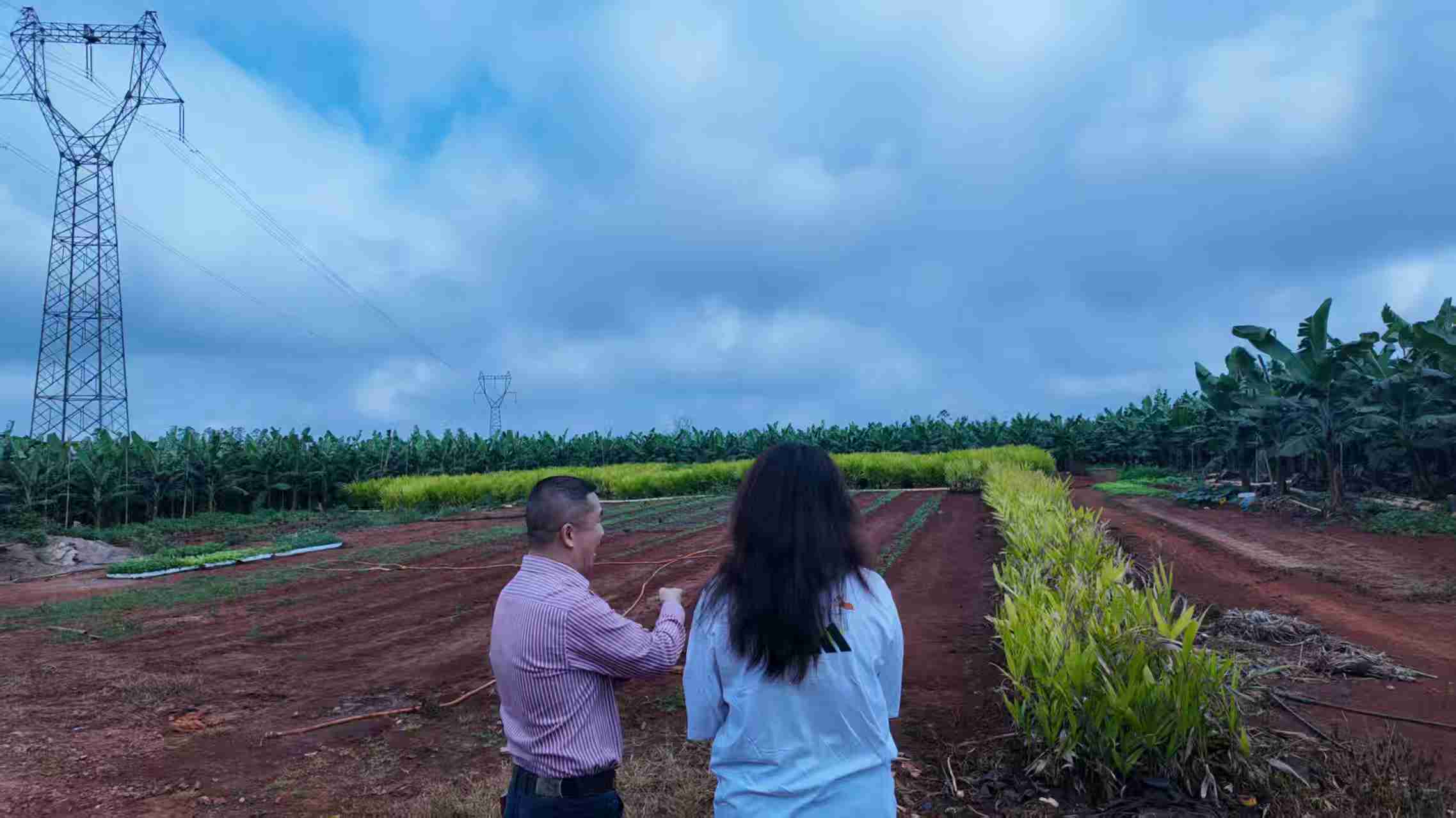 �������ŵ�����ǰ�����Ϻ컪ũ�����޹�˾�����и�